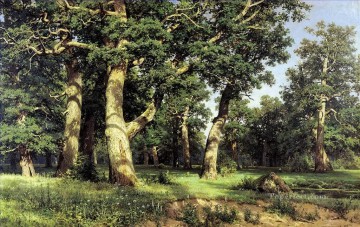 Artworks in 150 Subjects Painting - oak grove 1887 classical landscape Ivan Ivanovich forest